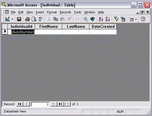 MS Access 2003: Creating a database table in Access - step 7