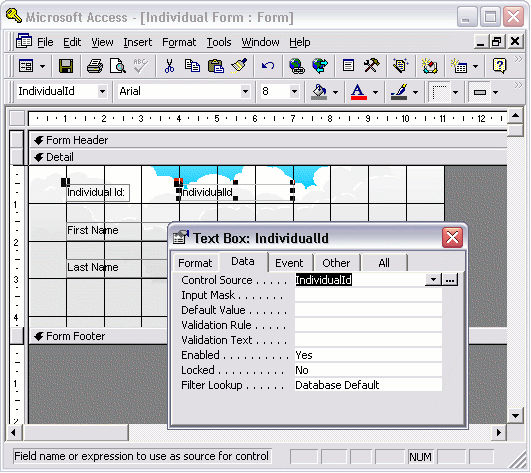 MS Access 2003: Properties