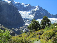 Rob Roy Glacier